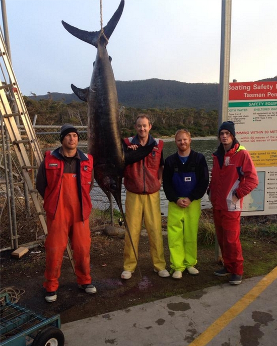 Tassie fishos crack broadbill code